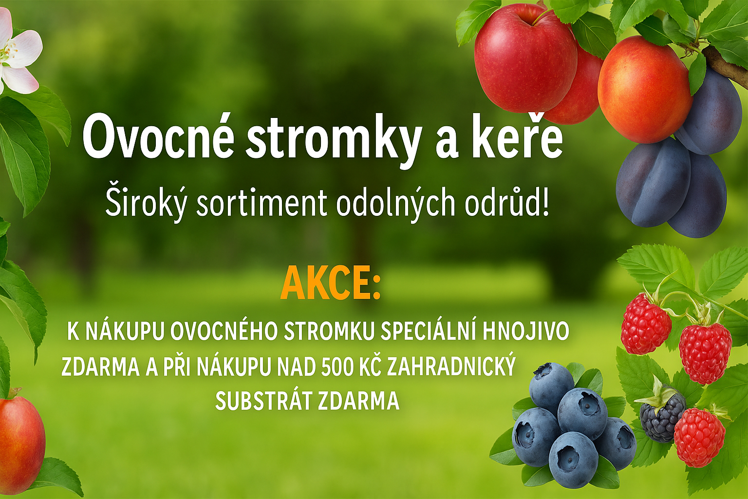 ovocné stromky a keře
