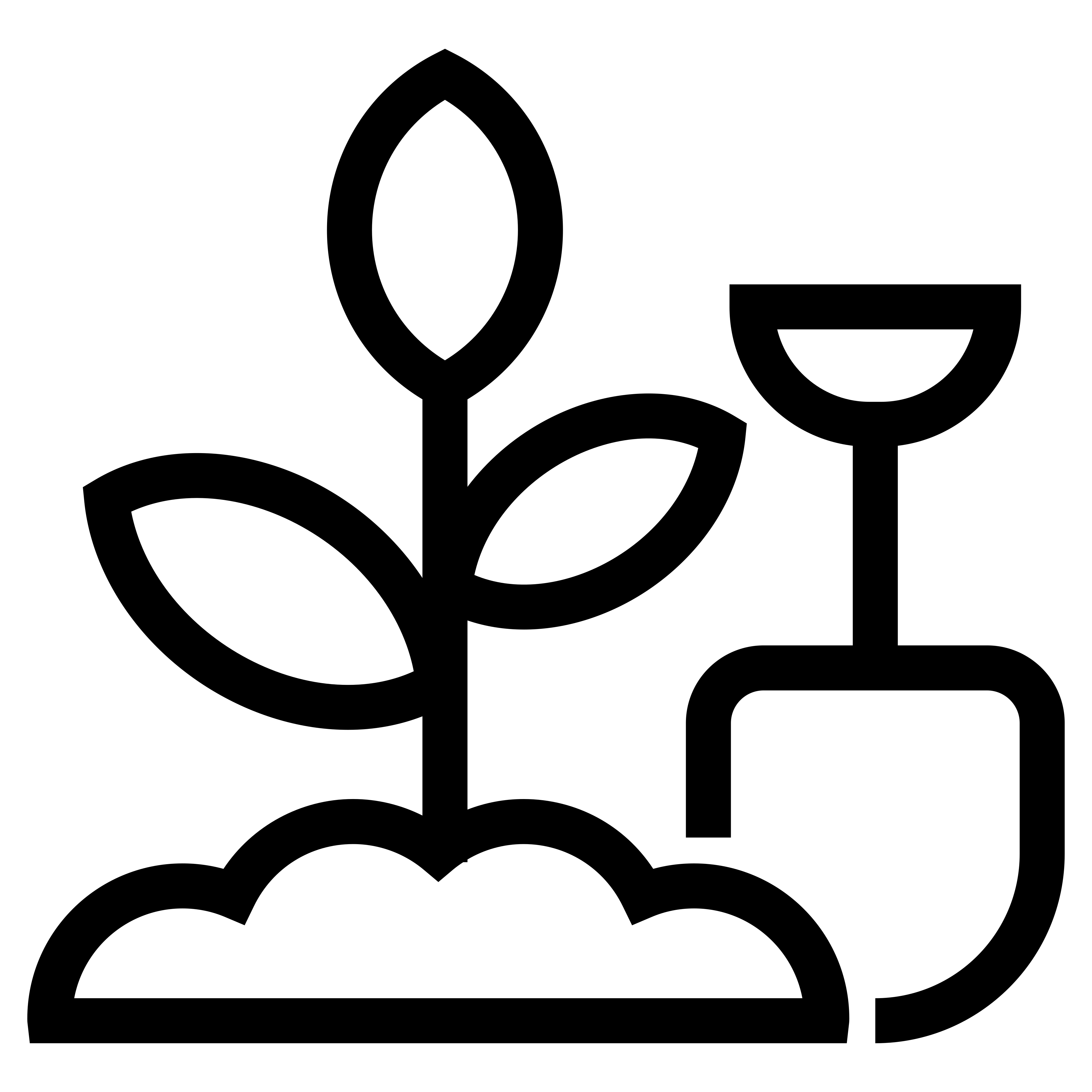 Velký výběr rostlin