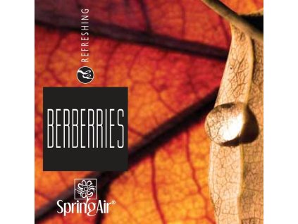130977 2 spring air napln pre iconoscent artyscent berberries 500ml