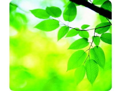 Podložka pod myš, recyklovaná, FELLOWES "Earth Series", listy