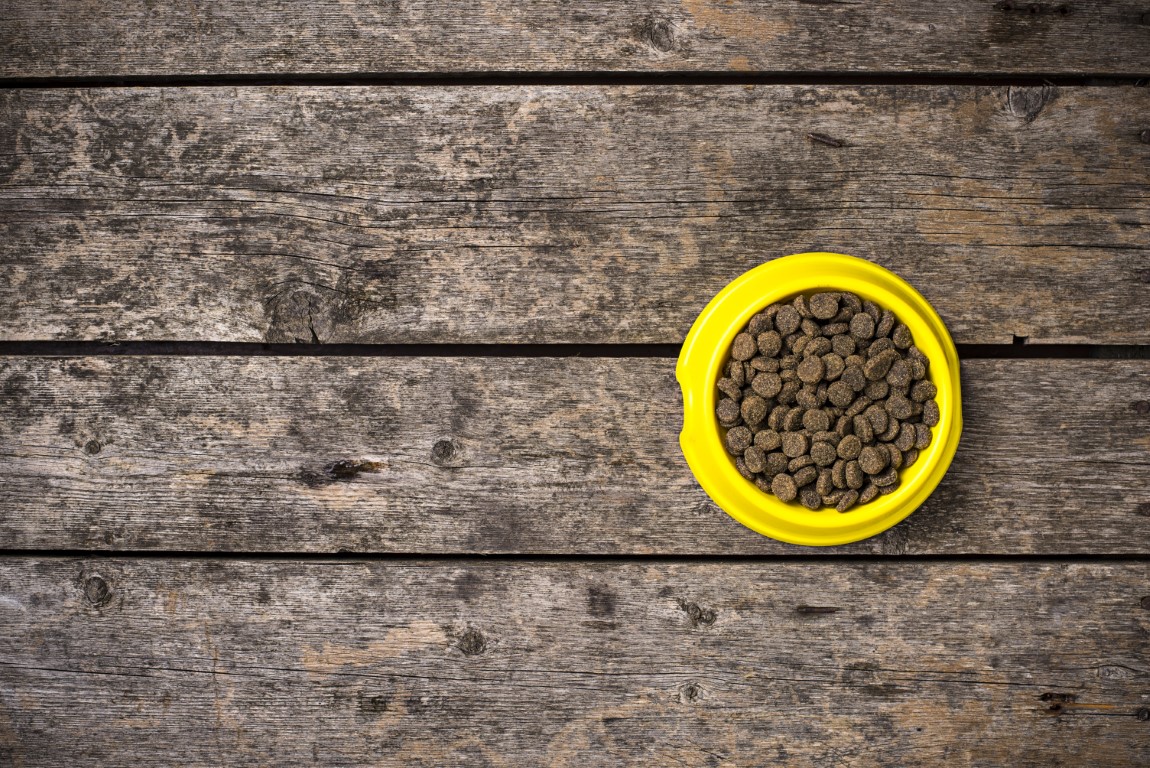 puppy-granule