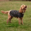 Waxed Dog Coat2