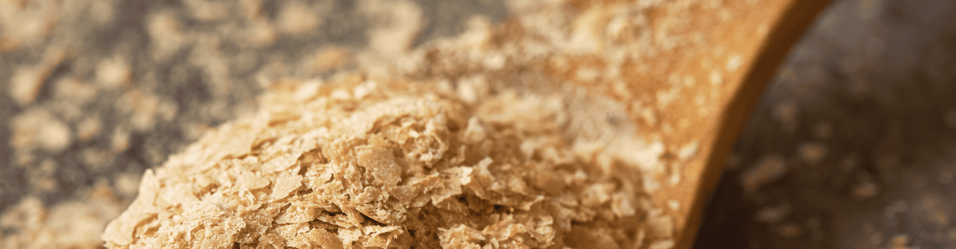 header1735329188_header1729579795-AdobeStock-206473967