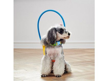 postroj pro psa s obruci