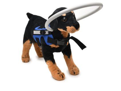 postroj pro psa s obruci blue