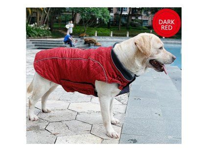 Vesta pro psa daisy vínová4