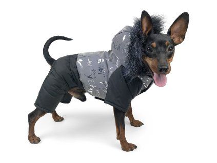 Kombineza pro psa Darya