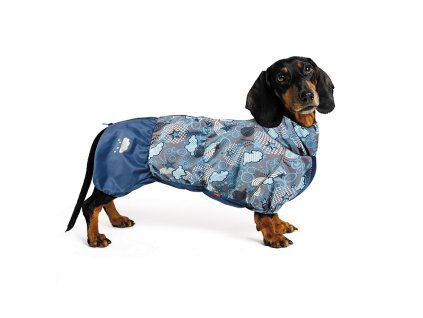 Kombineza pro psa Patrick