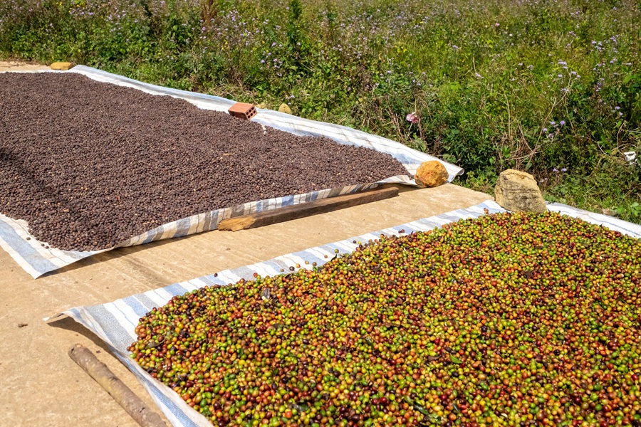 Ako pripraviť dokonalú šálku tureckej kávy