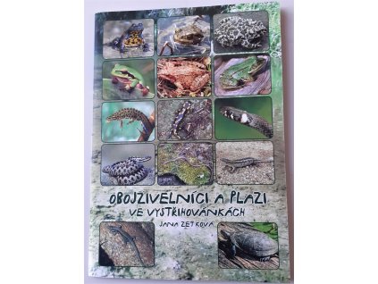 Obojzivelnici a plazi ve vystrihovankach