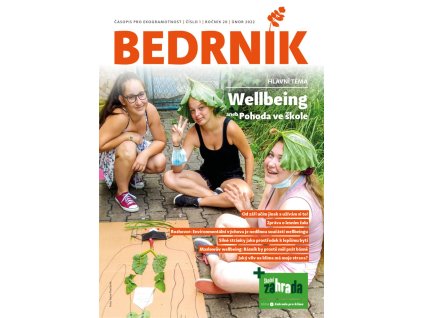 Bedrnik 01 2022