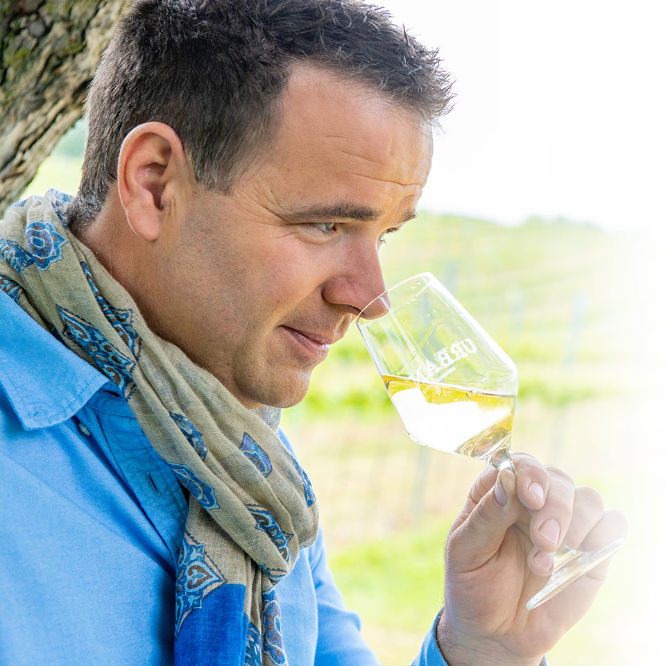 Weingut Urban