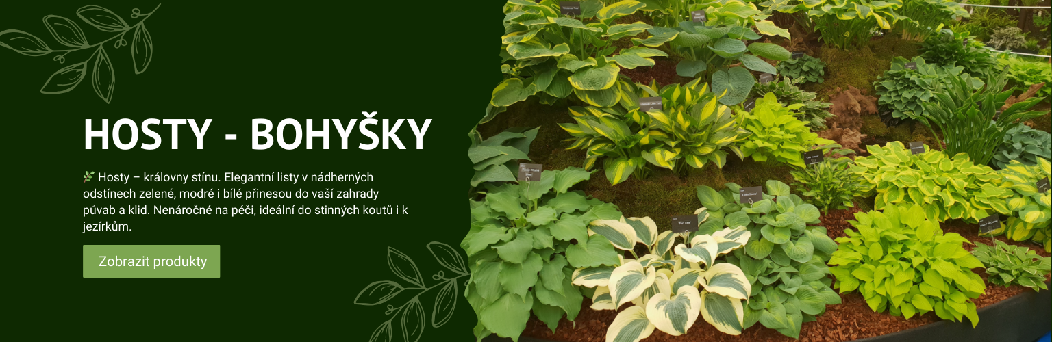 hosty - bohušky