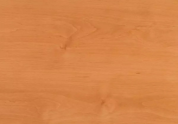 Olše