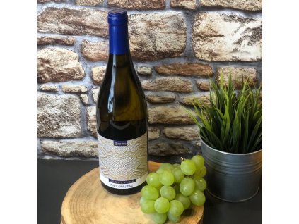 REPA WINERY - Jeruzalem Pinot gris 2022