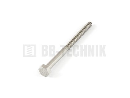 DIN 571 8x100 A2 nerezový vrut do dreva so 6-hrannou hlavou