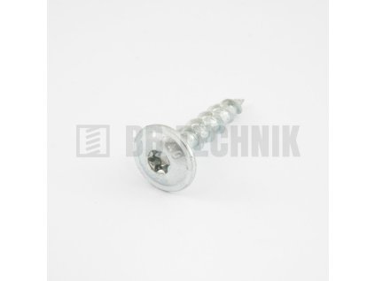 Vrut do pätky ZN TORX