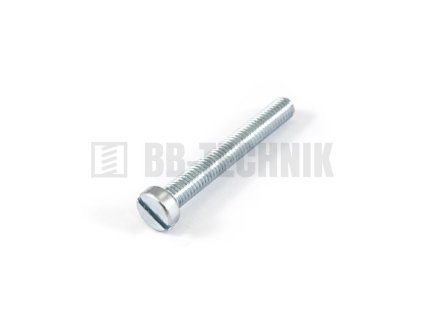 DIN 84A 4.8 ZN