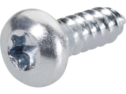 DIN 7981C 4,8x32 ZN TORX TX20