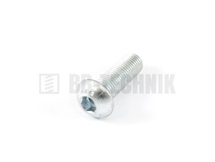 ISO 7380 M 6x20 10.9 ZN skrutka imbusová s polguľatou hlavou