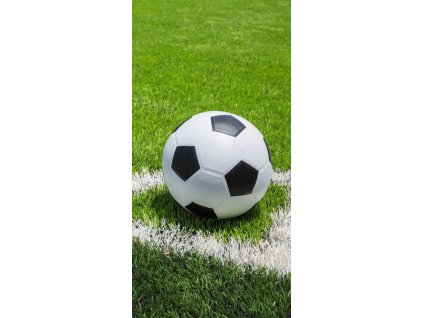 https://www.velkoobchod-povleceni.cz/fotky2311/fotos/ST-223297-osuska-fotbal.jpg