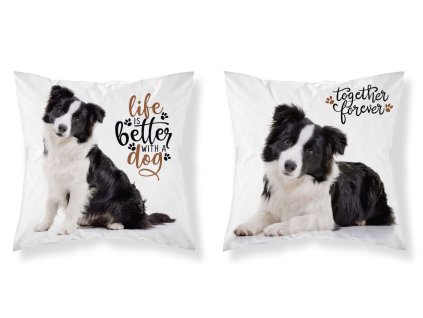 DETEXPOL Povlak na polštářek Border kolie micro Polyester, 40/40 cm