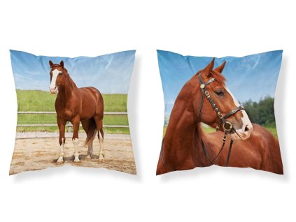 DETEXPOL Povlak na polštářek Kůň v ohradě micro  Polyester, 40/40 cm