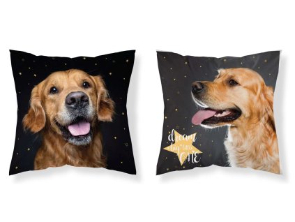 DETEXPOL Povlak na polštářek Pes hvězdy micro Polyester, 40/40 cm