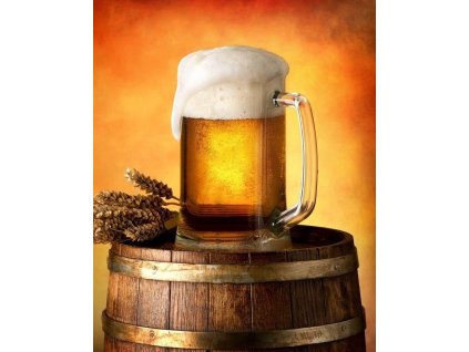 https://www.velkoobchod-povleceni.cz/fotky2311/fotos/ST-398452-deka-mikroflanel-digitalni-tisk-pivo.jpg