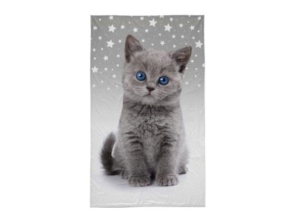 DETEXPOL Dětský ručník Kotě grey  Bavlna - Froté, 50/30 cm