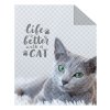 DETEXPOL Přehoz na postel Kočka grey  Polyester, 170/210 cm