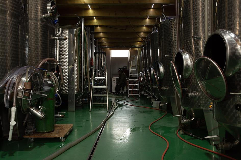 vino-pezinok2