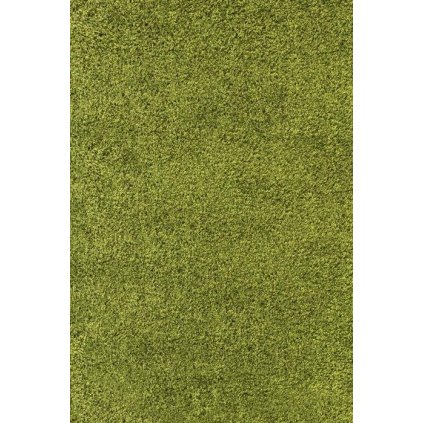 56955 kusovy koberec life shaggy 1500 green