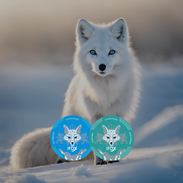 White Fox: Prémiové nikotinové sáčky pro ty, kteří chtějí víc