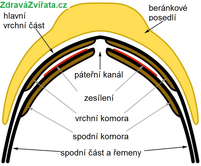 grandeur přední průřez