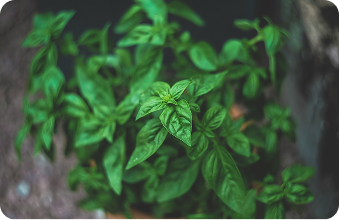 Pro aktivní mladé lidi