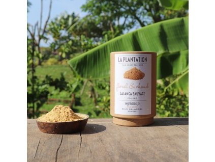 31161 4 la plantation divoky galangal 50g tubus