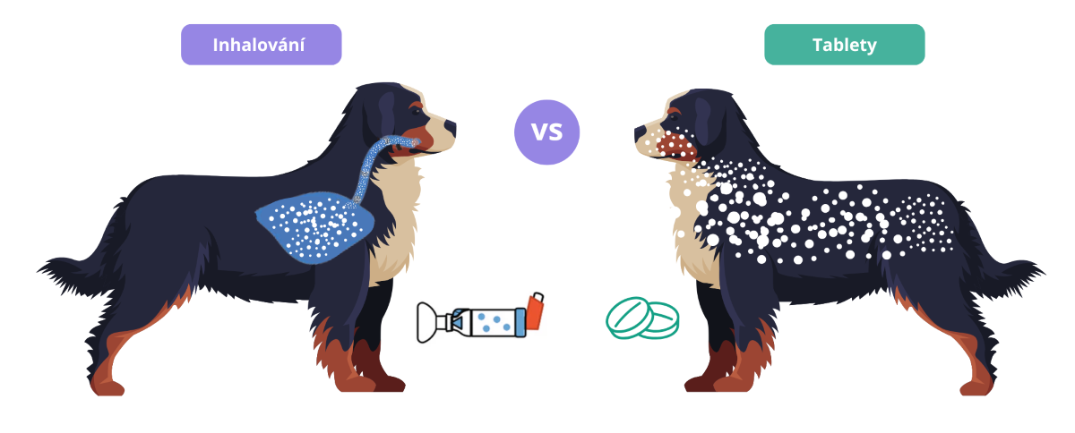 inhalovani-vs-tablety-pes_clanek