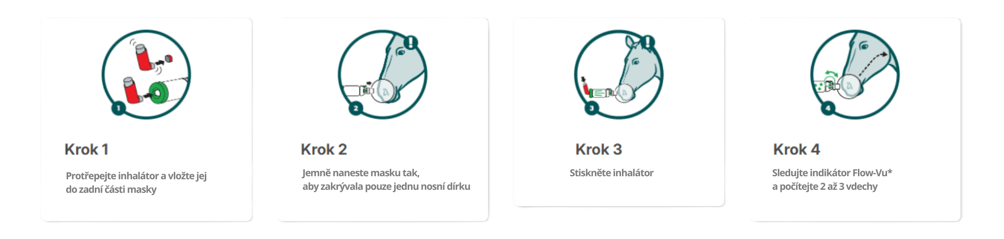 AeroHippus – jak používat inhalační komoru u koně