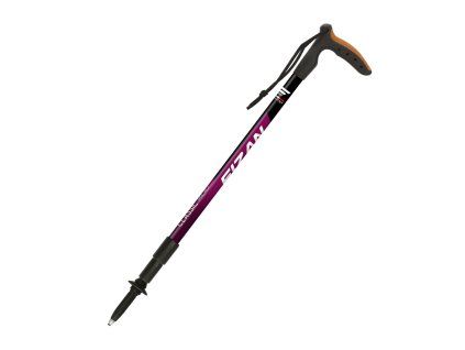 Art 100 025 classic micro magenta 2025 A