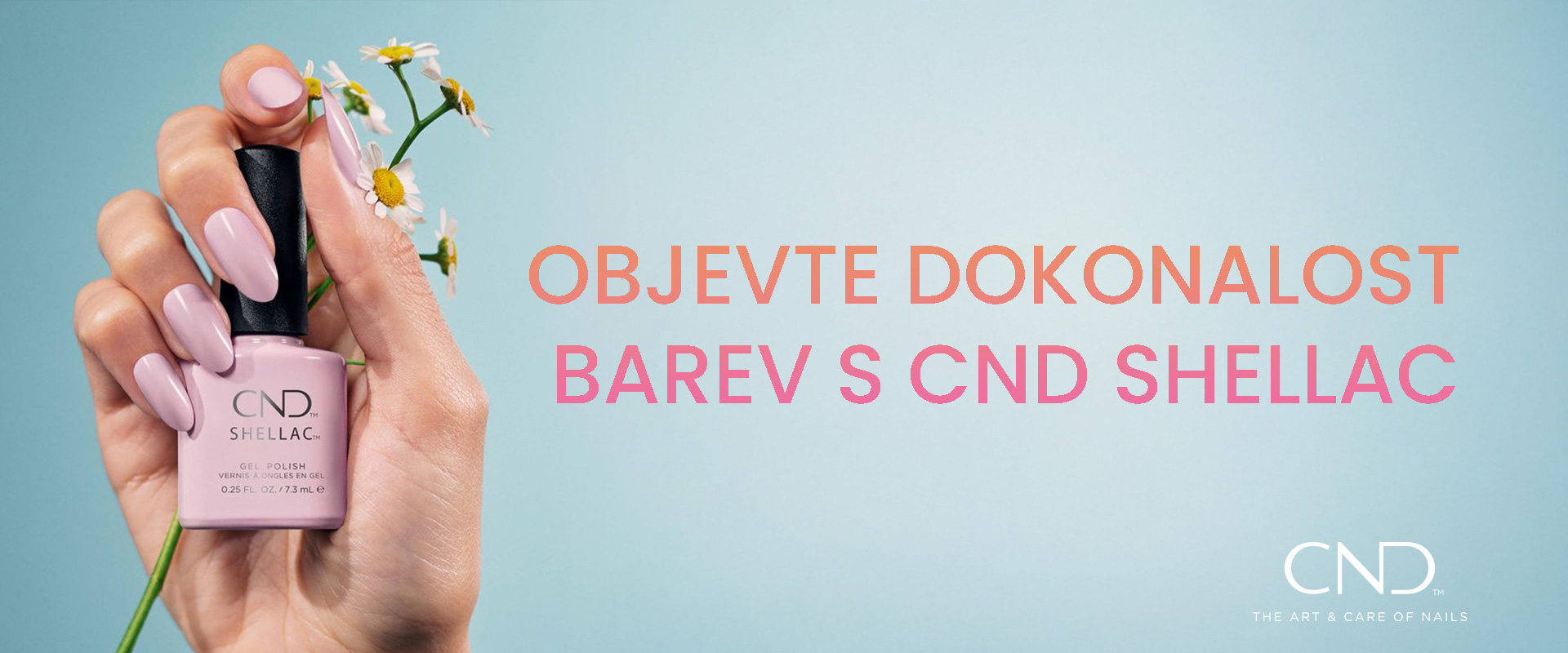 Do domácnosti
