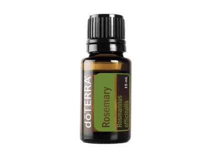 Rozmarín (Rosemary)