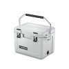 290 dometic patrol 20l 5 3gal cooler mist