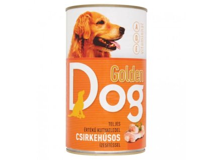 NT GOLDEN DOG