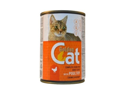 NT GOLDEN CAT
