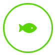 ikona2