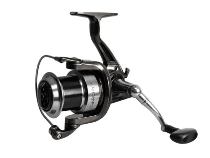 Delphin Navijak Anarchy 60