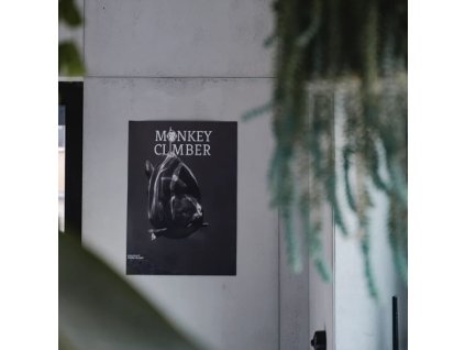 Monkey Climber Poster Carp