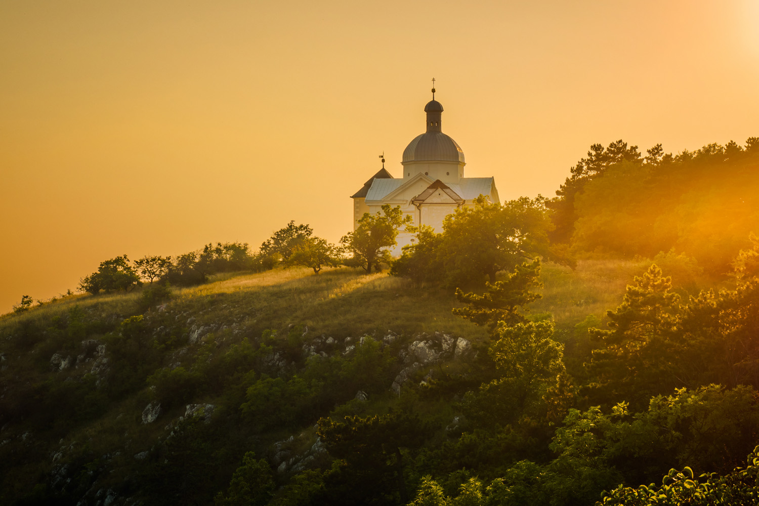 Procházky historií