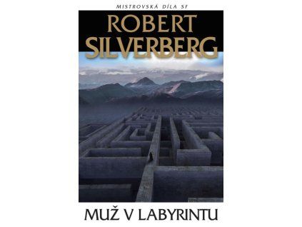 muz v labyrintu